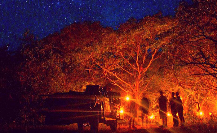 night-trail-image