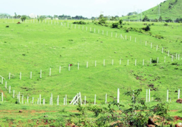 plot-purchase